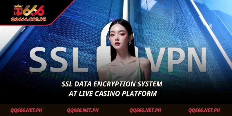 SSL data encryption system at Live Casino platform