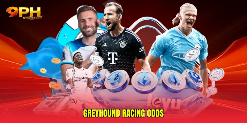 Greyhound racing odds
