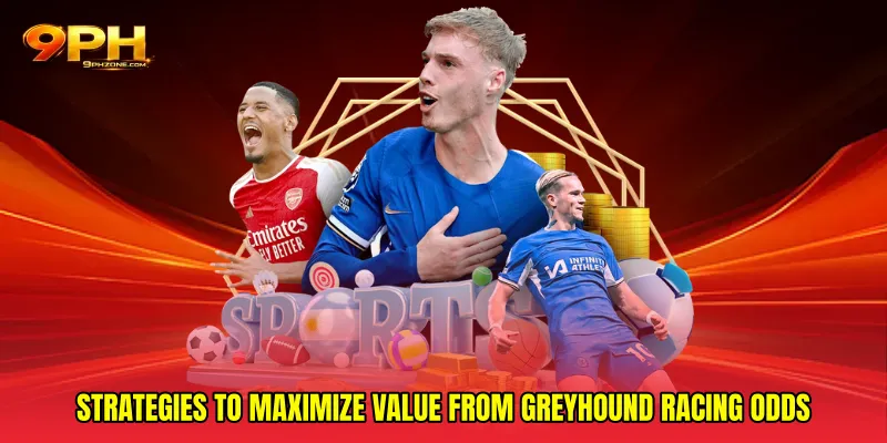 Strategies to maximize value from Greyhound racing odds