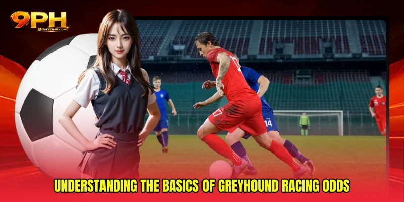Understanding the basics of Greyhound racing odds
